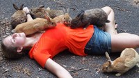 Saking ramahnya para kelinci yang tinggal di Okunoshima, mereka pun juga senang bermain dengan manusia. Lihat saja, hingga para makhluk ini mengerubungi manusia yang sedang tidur (Instagram/explodedsoda)