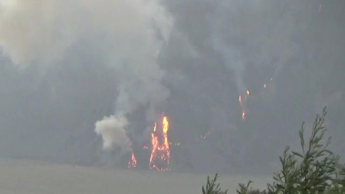 Kebakaran di Padang Savana Bromo Membakar Rumput di Tebing