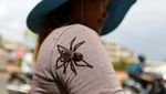 Foto: Tarantula Goreng, Bagaimana Rasanya?
