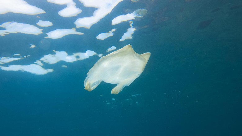 Cerita di Balik Viral Penemuan Sampah Plastik Utuh Berusia 19 Tahun Cerita di Balik Viral Penemuan Sampah Plastik Utuh Berusia 19 Tahun