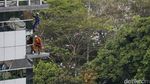 Bertaruh Nyawa Bersihkan Kaca Gedung Pencakar Langit
