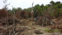 Tempat ini dulunya pelabuhan di zaman Kerajaan Sriwijaya (Dok Kasubbag Media dan Kom Kabupaten OKI)