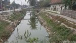 Foto: Kekeringan di Serang, Warga Cuci Baju Pakai Air Menghijau