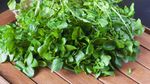 Mau Racik Salad? Ini 8 Sayuran yang Paling Tinggi Nutrisinya