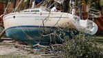 Kapal-kapal ini Terbawa Badai Irma, Ada yang Nyangkut di Kebun