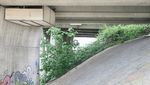 Foto: Ngantor di Kolong Jembatan, Why Not?