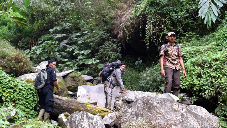 9800 Koleksi Hantu Gunung Gede Gratis Terbaru