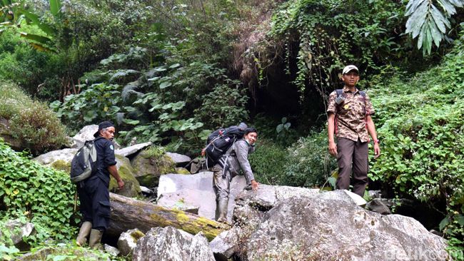 Cerita Mistis Guru SMA Saat Tersesat di Gunung Gede