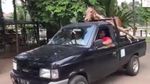 Dulu Dicambuki, Kuda Chester Kini Bahagia Pindah ke Rumah Baru