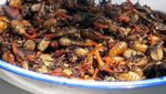 Ini 10 Makanan Paling Aneh di Dunia, Dari Ulat, Usus Kuda hingga Tarantula