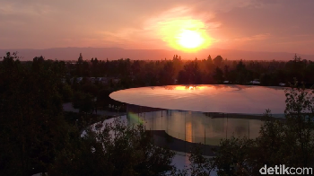 Area gedung ini sangat hijau dan asri.