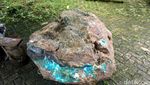 Foto: Batu Bacan Seberat 1,5 Ton
