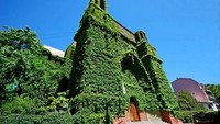 Di Buenos Aires, Ibukota Argentina, terdapat gereja yang depannya dipenuhi oleh daun-daun hijau yang cantik, di mana menjadi nama dari gereja ini yaitu The Green Church (Visit Costa Rica)