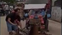 Terlihat dia kelelahan karena terus menerus dipaksa dan dicambuk. Chester akhirnya tersungkur ke jalan.