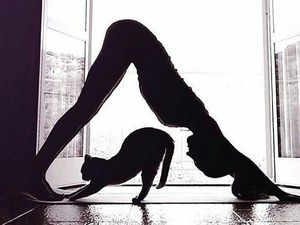 Serunya Pet Yoga, Ketika Yoga Dilakukan Bersama Hewan Peliharaan