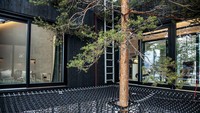 Sarana outdoor seperti jaring dirasa dapat memberikan pengalaman yang tak terlupakan bagi pengunjung. Istimewa/Johan Jansson/Boredpanda.