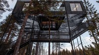 Desain rumah yang terlihat sangat modern di kawasan hutan cemara ini berdiri sekitar 30 meter dari permukaan tanah. Istimewa/Johan Jansson/Boredpanda.
