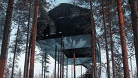 Rumah pohon tersebut sebenarnya adalah hotel bernama The 7th Room. Istimewa/Johan Jansson/Boredpanda.