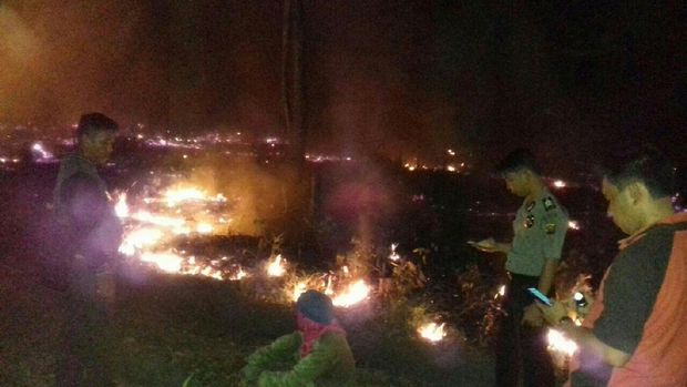 Pelaku AS membakar lahan untuk dijadikan kebun nanas.