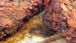 Ini 10 Makanan Paling Aneh di Dunia, Dari Ulat, Usus Kuda hingga Tarantula