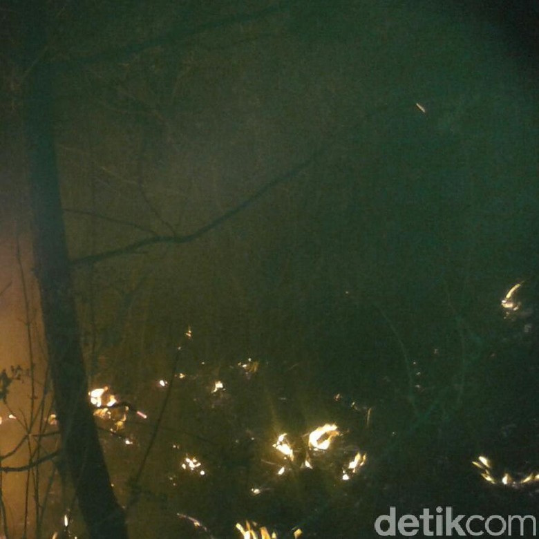 2 Hektare Lahan di Gunung Cikuray Garut Hangus Terbakar 2 Hektare Lahan di Gunung Cikuray Garut Hangus Terbakar
