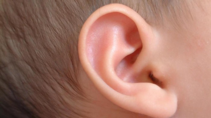 ilustrasi telinga anak