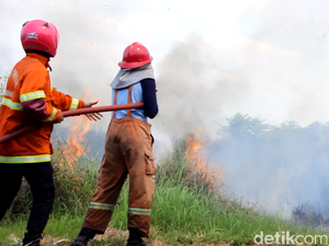 Kurang dari 4 Bulan, Sudah Ada 13 Kasus Kebakaran Lahan di Bantul