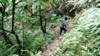 Desa di Tapal Batas Ini Sabar Menunggu Listrik PLN