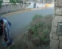 Demi Tesis, Mahasiswi Ini Nekat Bertarung Lawan Perampok