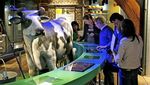 Di Museum Ini Bisa Belajar Sejarah Sambil Cicip Kentang Goreng hingga Ramen