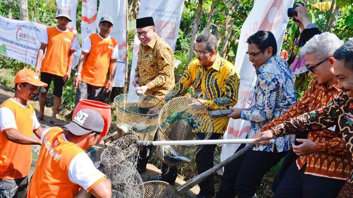 BNI Salurkan KUR Rp 1 Triliun di Bali, NTT dan NTB