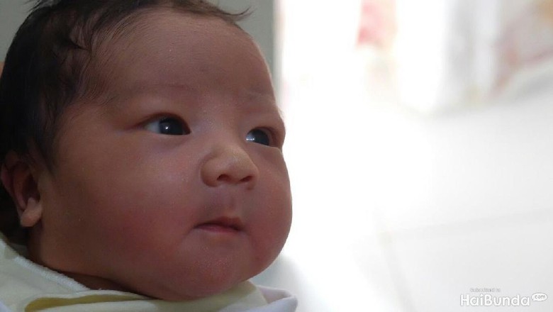Kota-kota di Dunia yang Bisa Jadi Inspirasi Nama Bayi/ Foto: Dhani Irawan/detikcom Kota-kota di Dunia yang Bisa Jadi Inspirasi Nama Bayi/ Foto: Dhani Irawan/detikcom