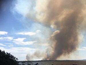 Kebakaran New South Wales: 500 Siswa Dievakuasi dari Sekolah