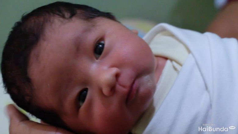 Ini Untungnya Bayi Baru Lahir Mirip Ayahnya (Foto: Dhani Irawan/detikcom) Ini Untungnya Bayi Baru Lahir Mirip Ayahnya (Foto: Dhani Irawan/detikcom)