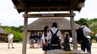 Kamu yang berencana ke Jepang dalam waktu dekat, bisa coba kunjungi Hitachi Sea Side Park. Pasti seru! (Rachman/detikTravel)