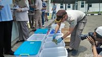 Penyelundupan 101 Hewan ke Madinah Digagalkan