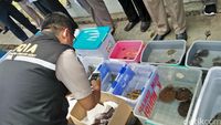 Penyelundupan 101 Hewan ke Madinah Digagalkan