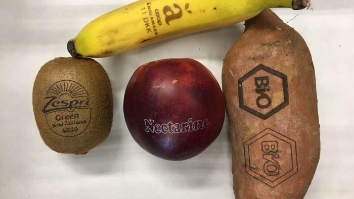 Buah Bertato Untuk Kurangi Pemakaian Plastik