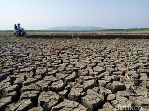 Yang Mengambil Kesempatan dari Kekeringan di Wonogiri