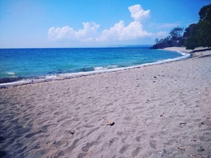 Pemerintah NTB Sudah Berusaha Jaga Kebersihan Laut