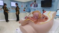 Displai alat reproduksi manusia.