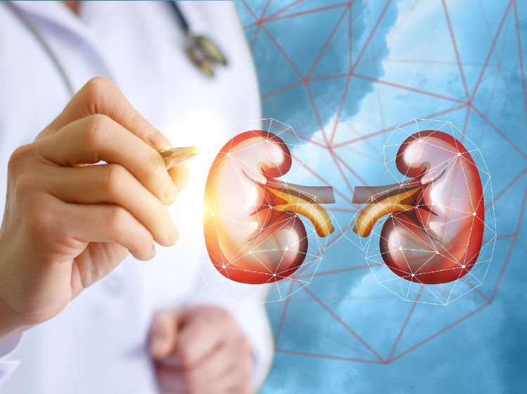 7 Cara Menjaga Ginjal Agar Tetap Berfungsi dengan Baik