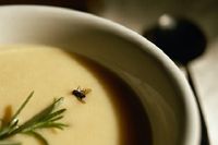 Jika Temui 8 Hal Ini Saat Pesan Makanan di Restoran, Sebaiknya Kembalikan Makanan