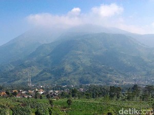 Antisipasi Kebakaran, Taman Nasional Merbabu Libatkan Masyarakat