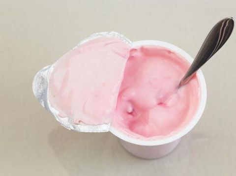 makanan mengandung probiotik