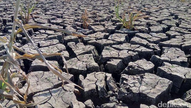 7 Kecamatan di Wonogiri Kekeringan, Diprediksi Sampai Oktober