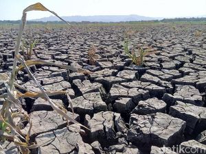 Kekeringan di Wonogiri Tidak Ganggu Stok Pangan