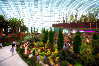 Ini Spot Foto Instagramable di Singapura dan Bangkok