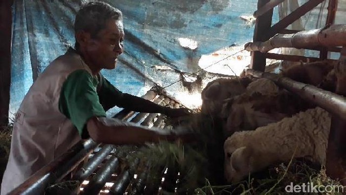 Kisah Kakek Datam, 15 Tahun Hidup Sendirian di Kandang Kambing