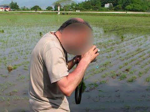 Korut Tawarkan Tur Menanam Padi dan Memetik Buah Bagi Turis Asing